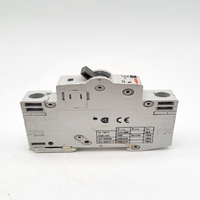 Interruptor de Circuito Plc WMS1C25, 25 A, 240 VCA, 1 Polo, Montaje en Riel DIN, Usado, Venta al Por Mayor
