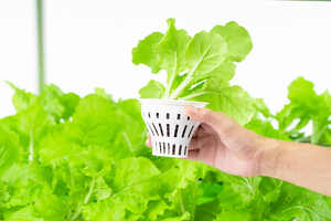 Invernadero agrícola grande de varios espacios ABS/aleación de aluminio para uso doméstico sistema de cultivo de verduras de peces acuapónicos verde sostenible - Product Image 4