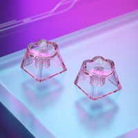 Keycap transparent multicolore en forme de patte de chat, vierge, à tige croisée, pour clavier mécanique DIY