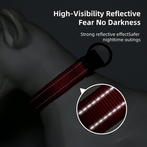 <span class=keywords><strong>Collar</strong></span> de Perro de Nailon Reflectante Martingale con Hebilla de Liberación Rápida, Elegante y de Lujo, Antideslizante, Sólido y Suave, de un Proveedor Genuino de Productos para Mascotas - Product Image 3