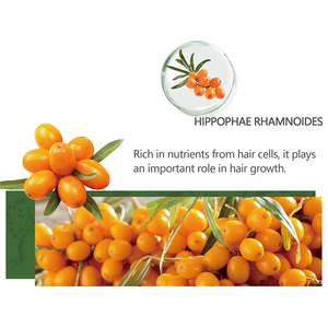 Private Label Shampoo olio di Argan Volume personalizzato 400ml 200ml 100ml <span class=keywords><strong>prodotti</strong></span> per la cura dei <span class=keywords><strong>capelli</strong></span> - Product Image 5