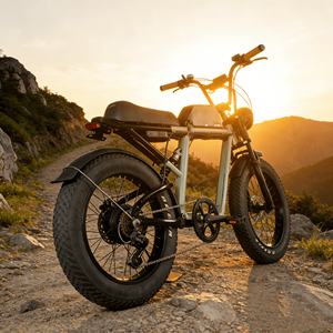 จักรยานไฟฟ้าแบบเต็มระบบกันสะเทือน รุ่นใหม่จากโรงงาน <span class=keywords><strong>ราคา</strong></span>ถูก สำหรับปั่นบนชายหาดและหิมะ - Product Image 6