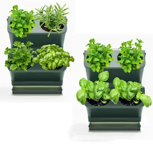 2 Stuks Raam Planter Verticale Keukenwand Plantset Voor Kruiden Brasil Sla