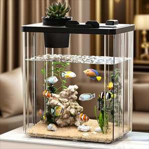 Premium Klein Acryl <span class=keywords><strong>Aquarium</strong></span>-Ultra Heldere Rechthoekige Mini Bowl, Duurzaam Lekvrij Desktop <span class=keywords><strong>Aquarium</strong></span> Voor Thuis, Kantoor, Cadeau - Product Image 2