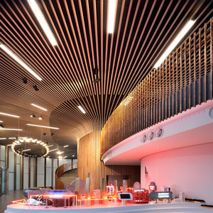 Déflecteur métallique en forme de U, en aluminium, déflecteur linéaire pour plafond - Product Image 5