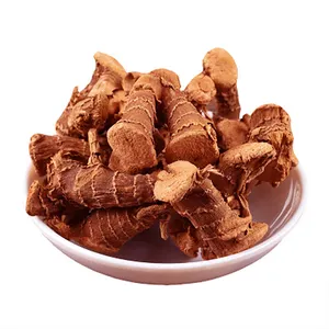 HUARAN Wholesale Supply Single Spices And Herbs New Crop Low Price Galangal Root