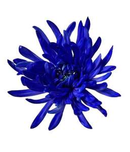 สีย้อมสีฟ้าสดใส CRE, ผงสีผ้าสิ่งทอย้อมสีด้วยความแม่นยำสูง - Product Image 3