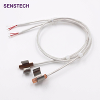 Sonde de température RTD PT100 PT1000 personnalisée de type pince métallique pour raccord de tuyauterie