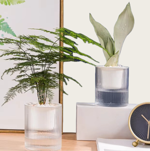 Nuovo Vaso per Fiori Trasparente ad Assorbimento Automatico dell'Acqua, Accessori da <span class=keywords><strong>Giardino</strong></span>, Fioriere con Assorbimento Automatico dell'Acqua - Product Image 3