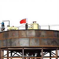 Usine de traitement au cyanure de petite taille pour l'extraction minière 100 TPD en Afrique