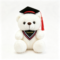 Ours en peluche de graduation avec toque de diplômé, ours en peluche multicolore, cadeau souvenir de graduation, peluche personnalisée OEM ODM