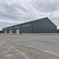 Entrepôt en structure acier sur mesure, conception résistante aux vents forts, atelier métallique, stockage logistique, bâtiment durable