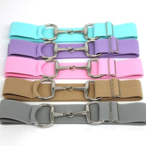 Thấp Moq 3.8Cm Bạc Ngựa Snaffle Bit Khóa Cưỡi Ngựa Vành Đai Cho Người Lái Vải Vành Đai Đàn Hồi - Product Image 5