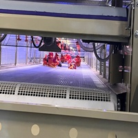 Cage d'élevage de poulets de chair à récolte automatique pour l'agriculture