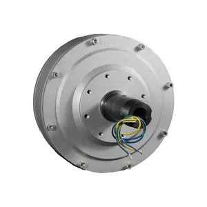 RPM Thấp 5000 Wát 300 Vòng/phút 96V 220V 380V Nam Châm Vĩnh Cửu Alternator DC Ba Giai Đoạn Coreless Maglev Tự Làm Máy Phát Điện