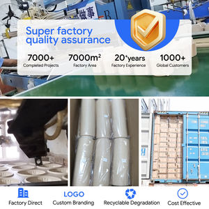 Envase Octagonal Compostable de Almidón de Maíz para Comida para Llevar con Proceso de Blister, Capacidad Personalizada para Porciones Grandes de Alimentos - Product Image 6