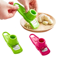 Mini hachoir à gingembre et à ail, outil de coupe multifonctionnel, presse à ail manuelle, râpe à gingembre et à ail