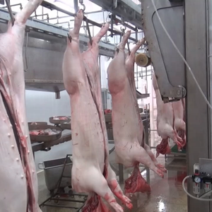 โซลูชันสายการผลิตแบบครบวงจรสำหรับการเชือดหมูและแปรรูปเนื้อหมูสำหรับโรงฆ่าสัตว์ขนาด<span class=keywords><strong>เล็ก</strong></span>และขนาดใหญ่ - Product Image 4