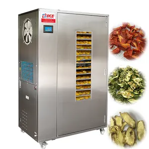 Machinery Drying 100kg Professional Fruit Vegetable Dehydrator Ginger Dehydrator Machine