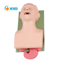 Modèle anatomique d'entraînement pour adultes, modèle médical de gestion des voies respiratoires en PVC pour les écoles YULIN YL-326-1 CE/ISO