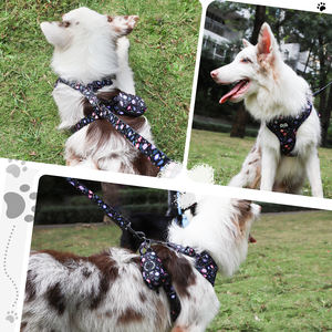 도매 럭셔리 패션 간단한 L 맞춤형 크로스 보더 애완 동물 개 하네스 조끼 단단한 폴리에스터 패딩 칼라 RIBBONS 버튼 - Product Image 5