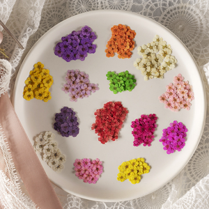 Fiori di Narciso Veri Pressati, Adesivi di Narcisi Essiccati per Creazioni Fai-da-Te in Resina Epossidica, Natale, Laurea, San Valentino, Halloween, Pasqua - Product Image 2