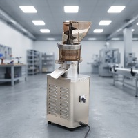 Hoge Efficiëntie Commerciële Koudgeperste Slow Juicer Machine Citrusvrucht Sap Extractiemachine