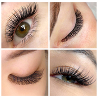Extensions de Cils En Gros Forme W Effet Trèfle 3D 4D 5D 6D YY, Cils Entrecroisés WYY, Plateaux à Cils Marque Privée