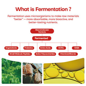 Toptan tedarik fermente doğal Rhizoma Gastrodia Elata özü bitkisel takviyesi uyku yardım tozu - Product Image 3