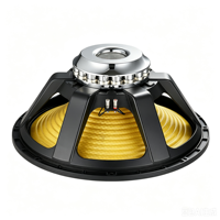Subwoofer Format Besar 24 Inch Kerucut Serat Karbon Kaca Xmax 14mm Daya Tinggi 5000W Speaker Audio Festival Luar Ruangan GND24SK152