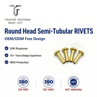 Rivets semi-tubulaires à tête ronde en acier au carbone TianFang pour cadres de signalétique extérieure, finition zinguée, contrôle ISO9001