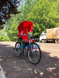 XCEGO Street View Electric Human-powered <b>Passenger</b> Tricycle Sightseeing Bicycle Touring Bike Single Speed <b>2</b> Persons Capacity - Product Image 3