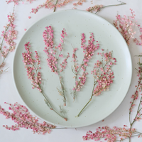Bunga Rumput Muhly Merah Muda Dengan Cabang Untuk Scrapbooking Resin Epoksi Ramah Lingkungan Bunga Asli Terpres DIY