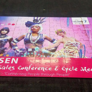 Premium Eco Solvent Inkt voor Roland SP-300/SP-300V VersaCamm Grootformaat Printer & Cutter - Product Image 2