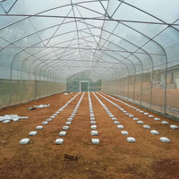 Serre agricole personnalisée à meilleur prix d'usine Serre en dents de scie en acier galvanisé à chaud de qualité supérieure pour la zone tropicale
