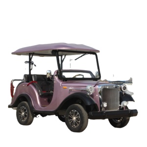 Voiturette de golf Bibo Weliftrich Classic 2 places, batterie 72V/48V, voiturette de tourisme, chariot de visite vintage, Weliftrich 11 places 72V/48V - Product Image 1