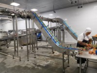 LWT – ligne de Production de poisson en conserve, truite, sardon, saumon, thon, prix d'usine