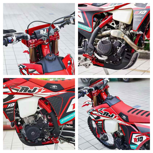 Motocicleta todoterreno Lin Dao con motor de cuatro válvulas y doble árbol de levas refrigerado por agua <span class=keywords><strong>AJ1</strong></span> A10 YBS300. - Product Image 4