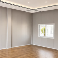 Maison conteneur moderne en kit avec revêtement mural imitation bois et plafonniers LED