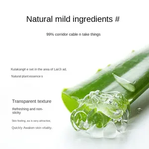 OEM BANGWEI <span class=keywords><strong>meilleur</strong></span> gel efficace à l'aloe vera pur 99% hydratant pour la peau après le <span class=keywords><strong>soleil</strong></span> soin de la peau gel crème pour le visage - Product Image 2