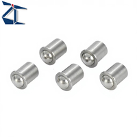 ZPFSSN Stainless Steel Press Fit Spring-loaded Ball Plunger High Precision Positioning Fasteners for Machinery Mould Equipment