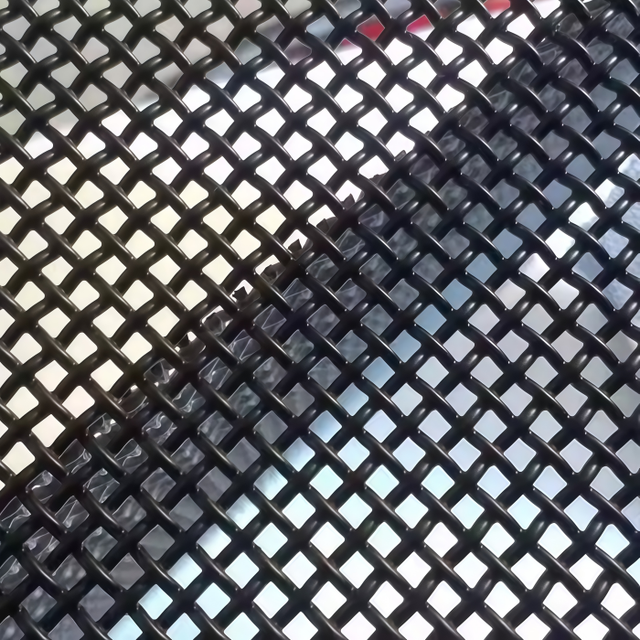 High Quality Stainless Steel Security Window/Door Screen/SS 304 316 Security Screen Mosquito Net