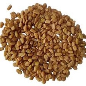 Graines de fenugrec indien fraîches et biologiques (Methi Dana) – Qualité export, épices en poudre, prix de gros - Product Image 6