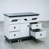 Armoire de laboratoire mobile tout acier avec trois tiroirs, une porte et un rangement par tiroir pour postes de travail de laboratoire organisés