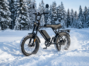 Vélo électrique à pneus larges de 20 pouces, moteur arrière sans balais 48V 500W, 7 vitesses, cadre en acier pour adultes DY006 DY006 - Product Image 4