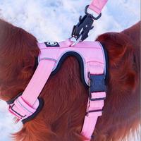 Arnés para Perro Estilo H Personalizado OEM, Arnés y Correa Cómodos para Cachorros, Arnés Antitirones para Mascotas