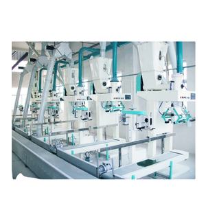 Máquina de molino de harina de maíz precocinado estándar europeo 200T - Product Image 6