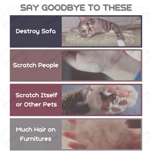 Maison ondulée de <span class=keywords><strong>chat</strong></span> de <span class=keywords><strong>carton</strong></span> de boîte de griffoir de <span class=keywords><strong>chat</strong></span> de nouvelle conception <span class=keywords><strong>pour</strong></span> les chats d'intérieur - Product Image 4