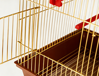 Cage à oiseaux pliable classique en fer doré Aier, légère, pour perroquet, perruche, perruchette - Durable, écologique, 1,0 kg, tous les accessoires inclus