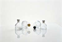 Bouteille diffuseur à roseaux en verre transparent vide de 100ml, 150ml, 200ml, 250ml avec bouchons pour aromathérapie et parfum d'ambiance de table